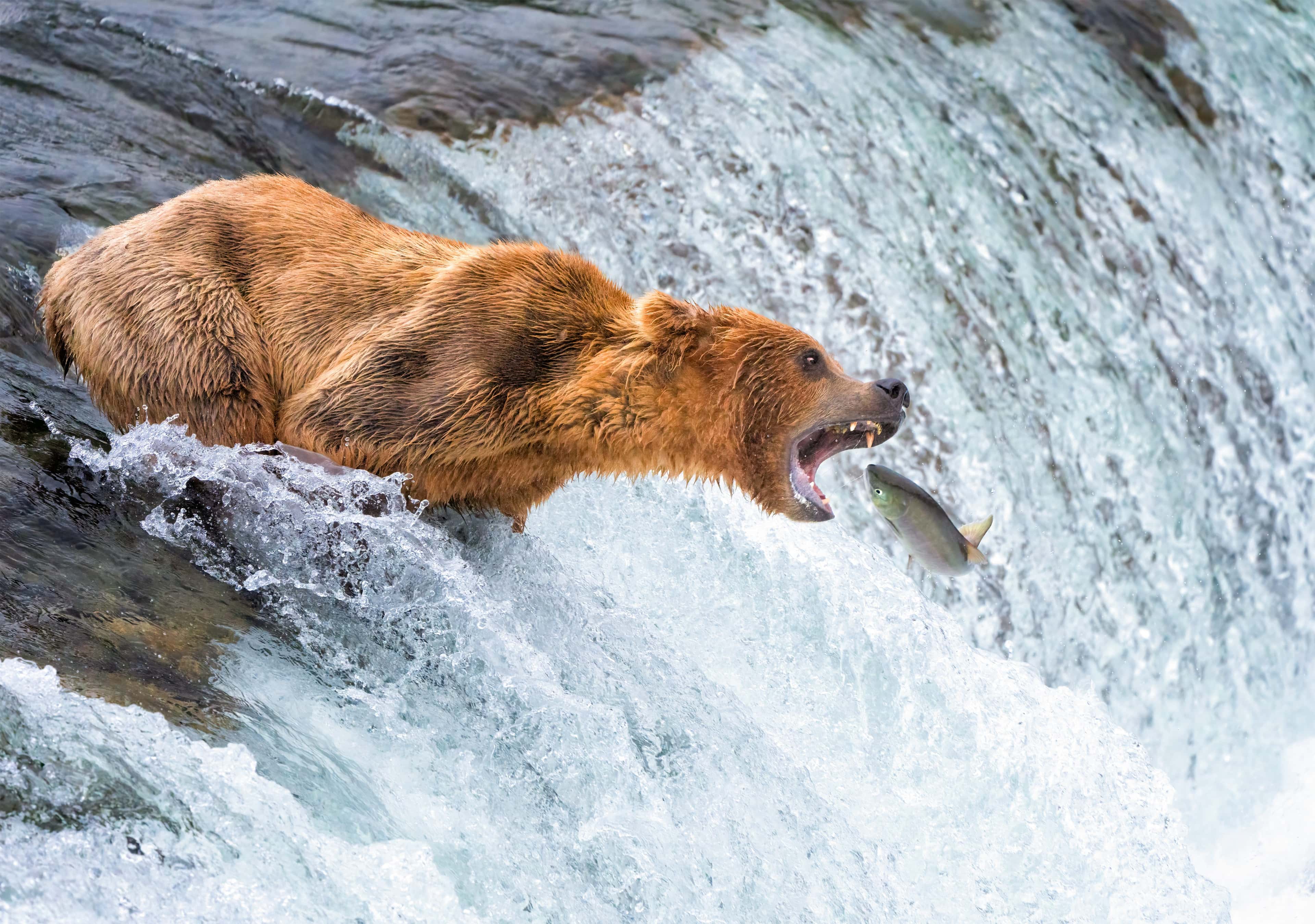 Archivo fotográfico